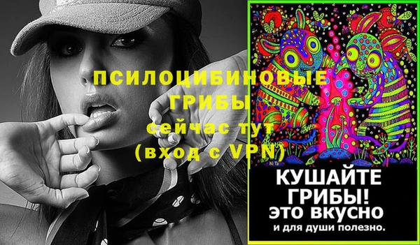 ГАЛЛЮЦИНОГЕННЫЕ ГРИБЫ Алзамай