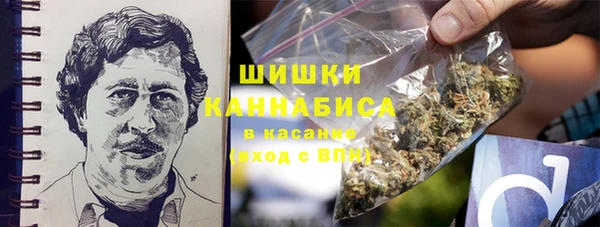 ГАЛЛЮЦИНОГЕННЫЕ ГРИБЫ Алзамай