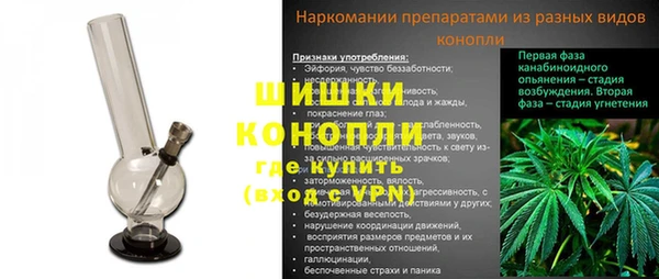 ГАЛЛЮЦИНОГЕННЫЕ ГРИБЫ Алзамай