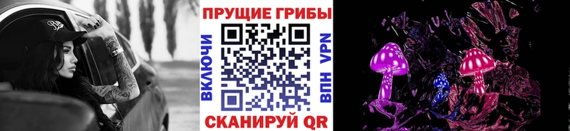 где купить наркотик  Сельцо  мега сайт  Псилоцибиновые грибы прущие грибы 