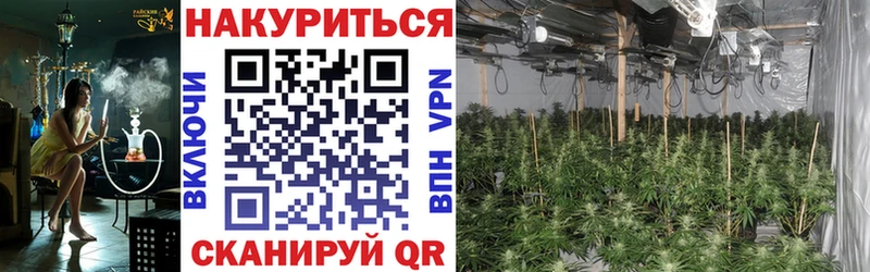 Марихуана план  где найти наркотики  Сельцо 